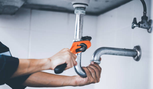 Best Commercial Plumbing Services  in Somonauk, IL